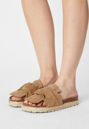 Anna Field Comfort Leren Slippers Pantoffels Dames Beige | 8539-RGBYN