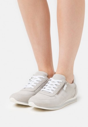 Anna Field Comfort Leren Trainers Sneakers Dames Beige | 9016-VBOIL