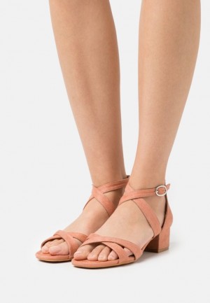 Anna Field Comfort Sandals Sandalen Dames Koraal | 0792-DXWYU