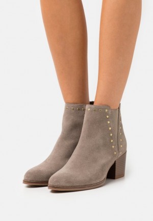 Anna Field Leren Ankle Boots Enkellaarzen Dames Grijs Bruin | 8965-KFRCZ