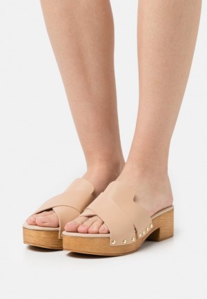 Anna Field Leren Clogs Pantoffels Dames Beige | 4106-AGFML
