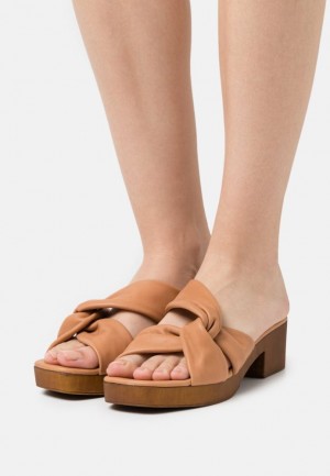 Anna Field Leren Clogs Pantoffels Dames Bruin | 8760-KGIZD