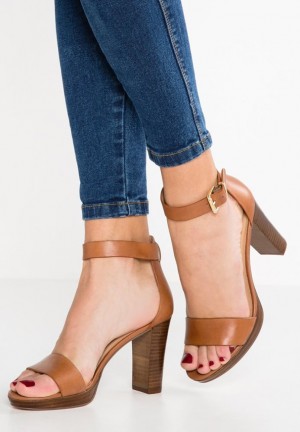 Anna Field Leren High Hak Sandals Sandalen Dames Bruin | 5042-VGETX