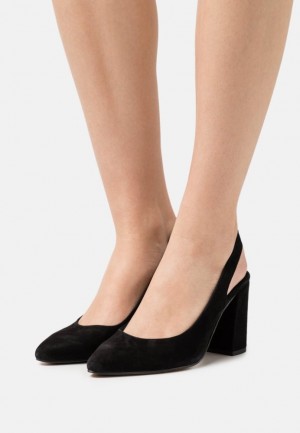 Anna Field Leren Klassieke Heels Hakken Dames Zwart | 8326-SXJAC