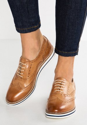 Anna Field Leren Vrijetijds Kanten Ups Laag Schoenen Dames Bruin | 4098-EUBAK