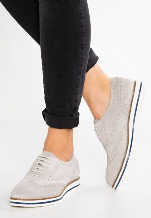 Anna Field Leren Vrijetijds Kanten Ups Laag Schoenen Dames Lichtgrijs | 6347-OWUZF