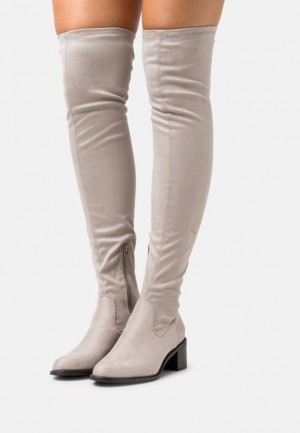 Anna Field Over The Knee Boots Laarzen Dames Lichtgrijs | 9581-MONVC