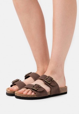 Anna Field Slippers Pantoffels Dames Donkerbruin | 6230-TLMGZ