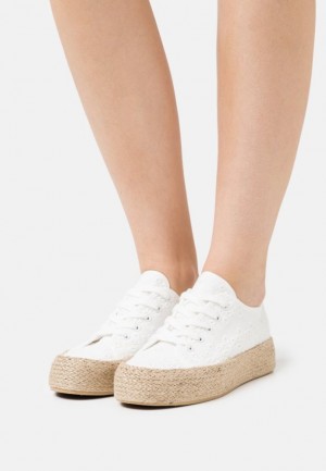 Anna Field Vrijetijds Kanten Ups Laag Schoenen Dames Wit | 5486-UGFAJ
