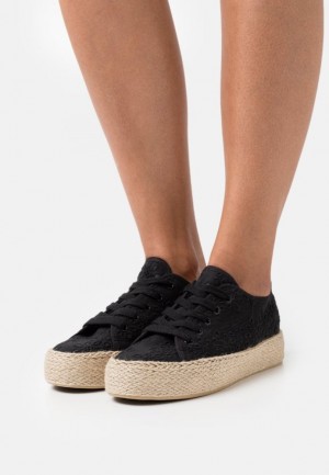 Anna Field Vrijetijds Kanten Ups Laag Schoenen Dames Zwart | 4720-QLMZF