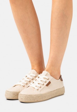 Anna Field Vrijetijds Kanten Ups Laag Schoenen Dames Beige | 4261-JAVQC